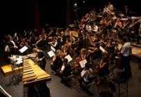 TRAITS D'ORCHESTRE par le Jeune Orchestre Symphonique du Conservatoire de Limonest