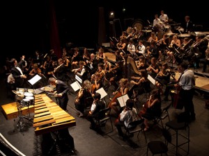TRAITS D'ORCHESTRE par le Jeune Orchestre Symphonique du Conservatoire de Limonest - JPEG - 34.2 ko